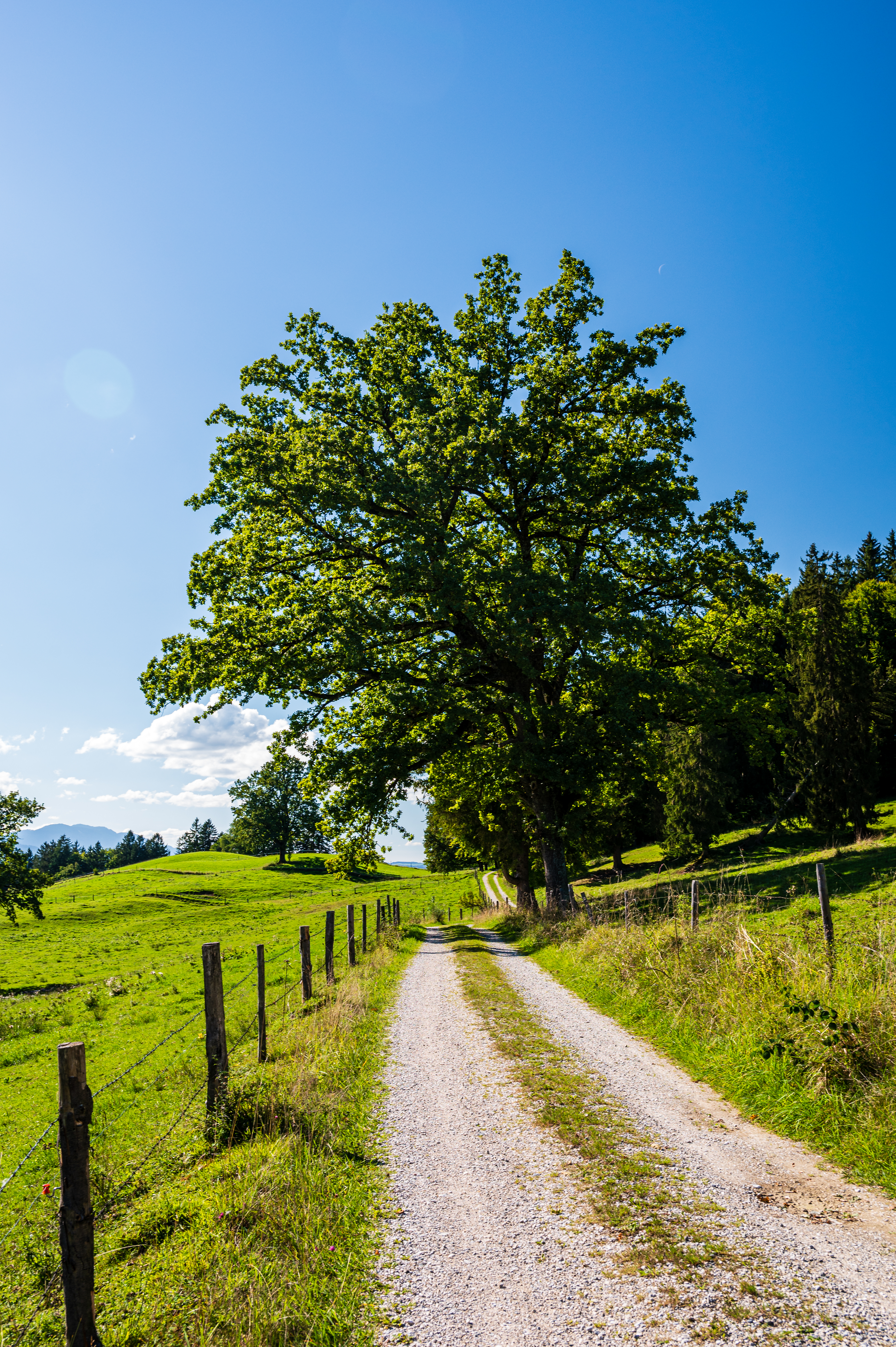 Wanderung Aidlinger Höhe